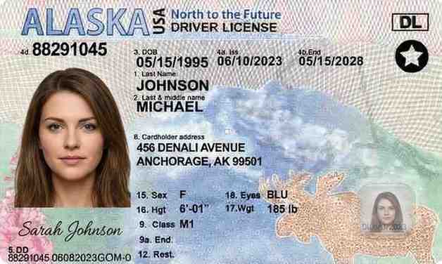 Sample Alaska motorcycle license card