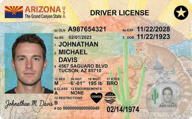 Sample Arizona CDL license card