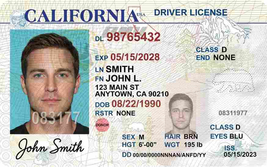 Sample California driver license card