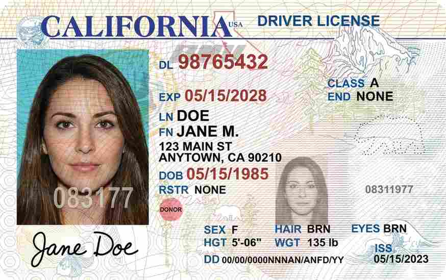 Sample California CDL license card