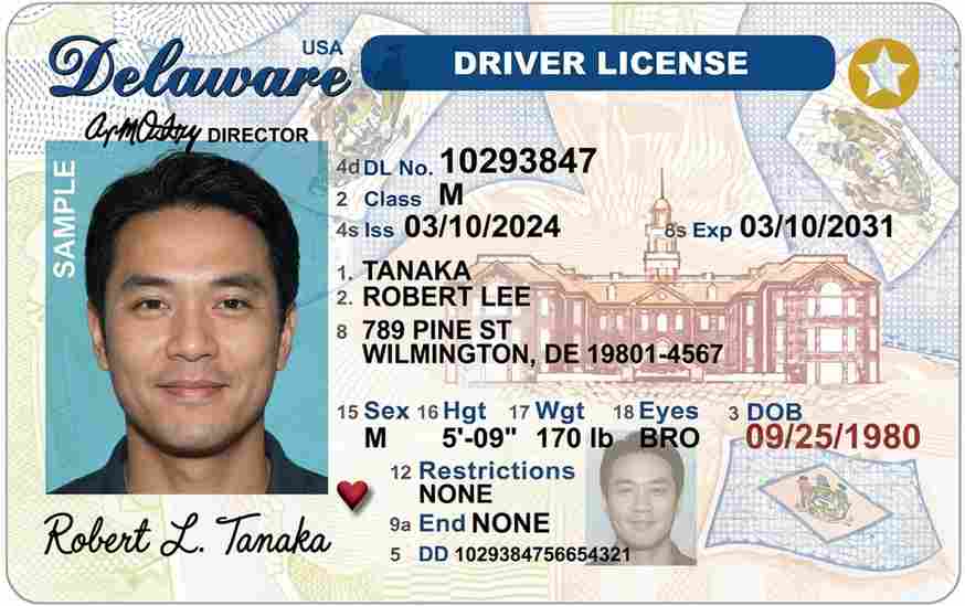 Sample Delaware CDL license card