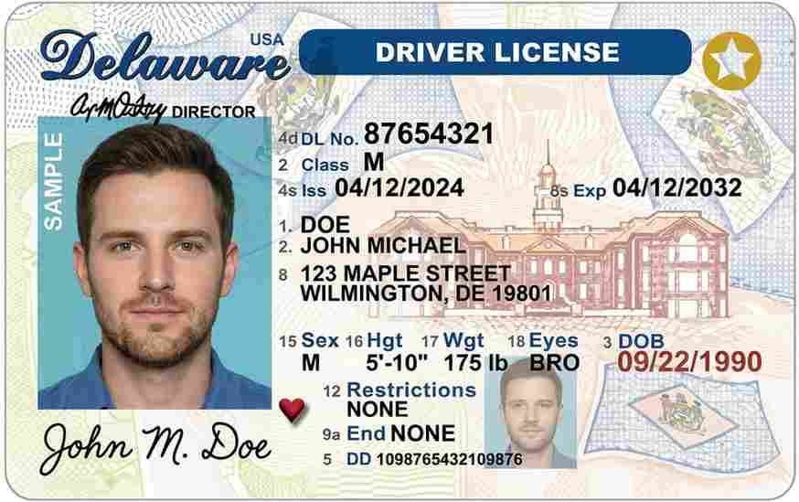 Sample Delaware motorcycle license card