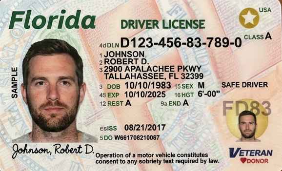 Sample Florida CDL license card