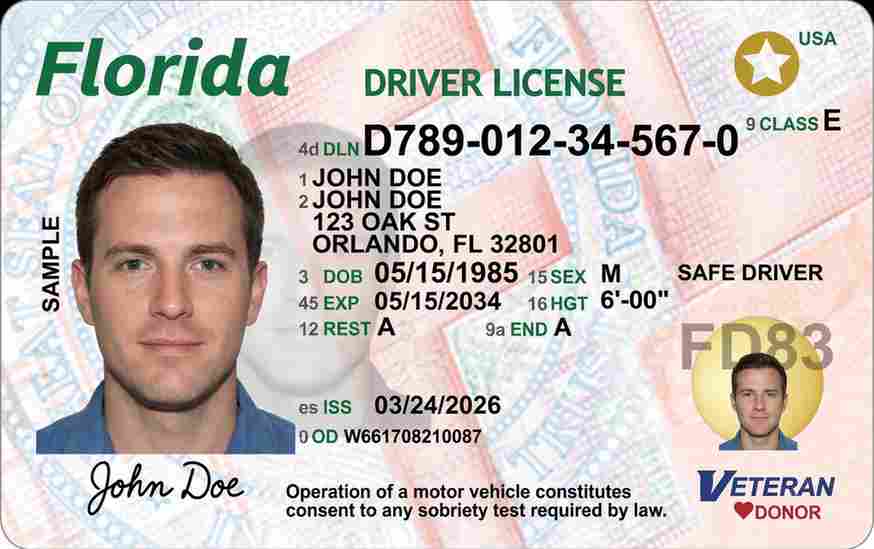 Sample Florida motorcycle license card