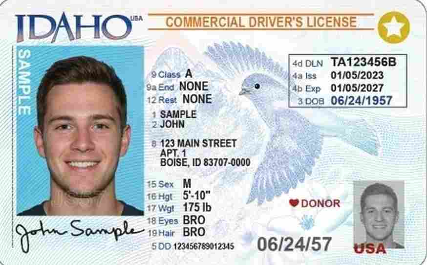 Sample Idaho CDL license card