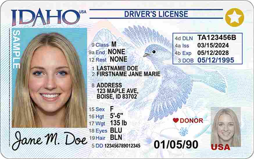 Sample Idaho motorcycle license card
