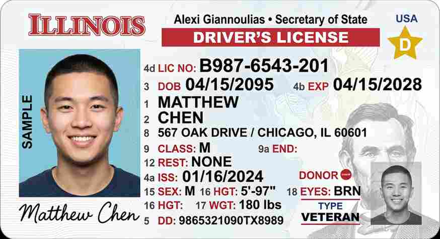 Sample Illinois motorcycle license card