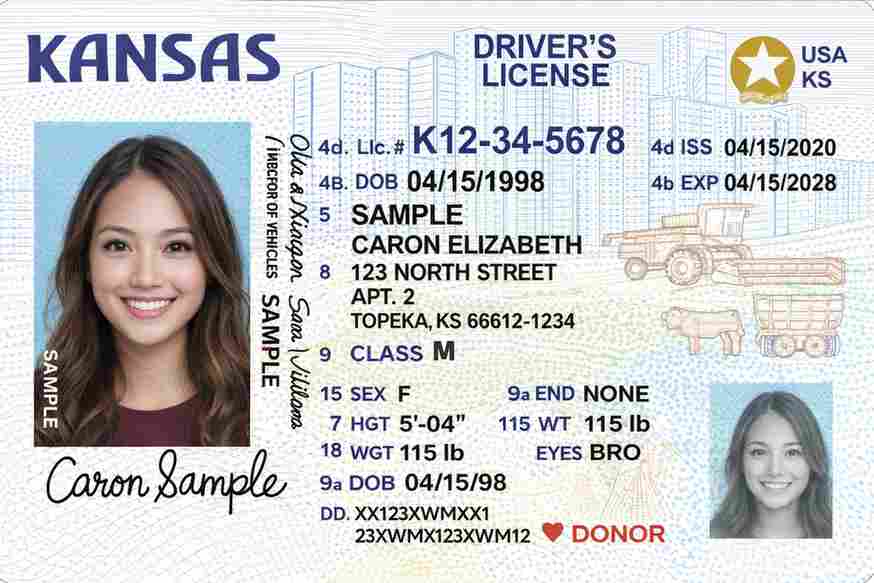 Sample Kansas motorcycle license card