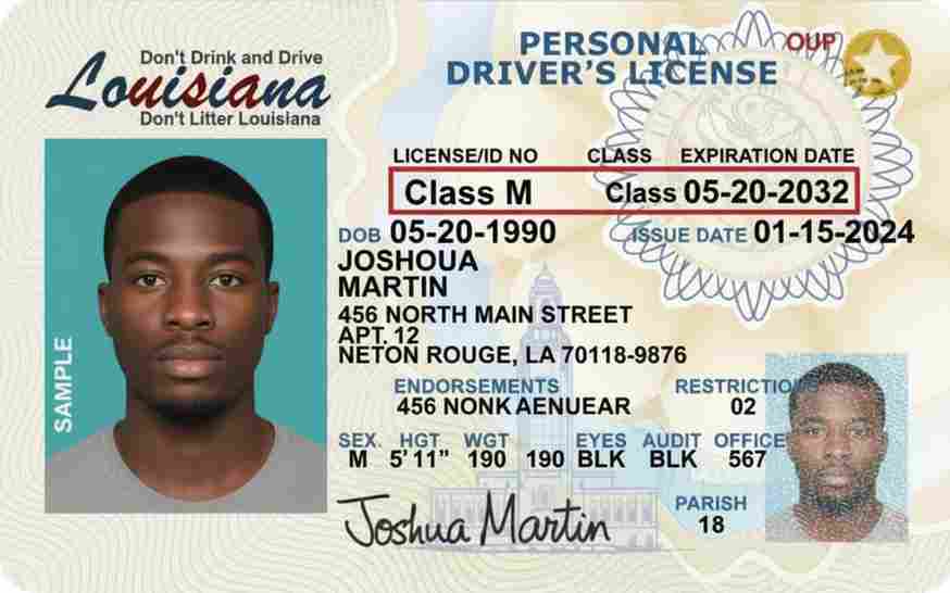 Sample Louisiana motorcycle license card