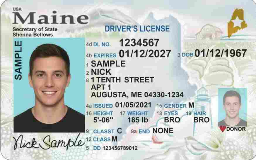 Sample Maine motorcycle license card
