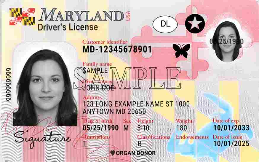 Sample Maryland driver license card