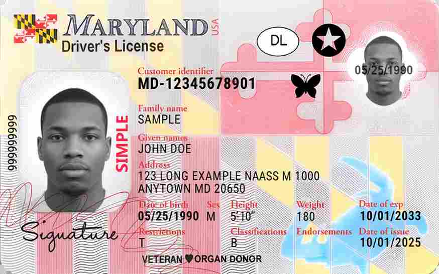 Sample Maryland CDL license card
