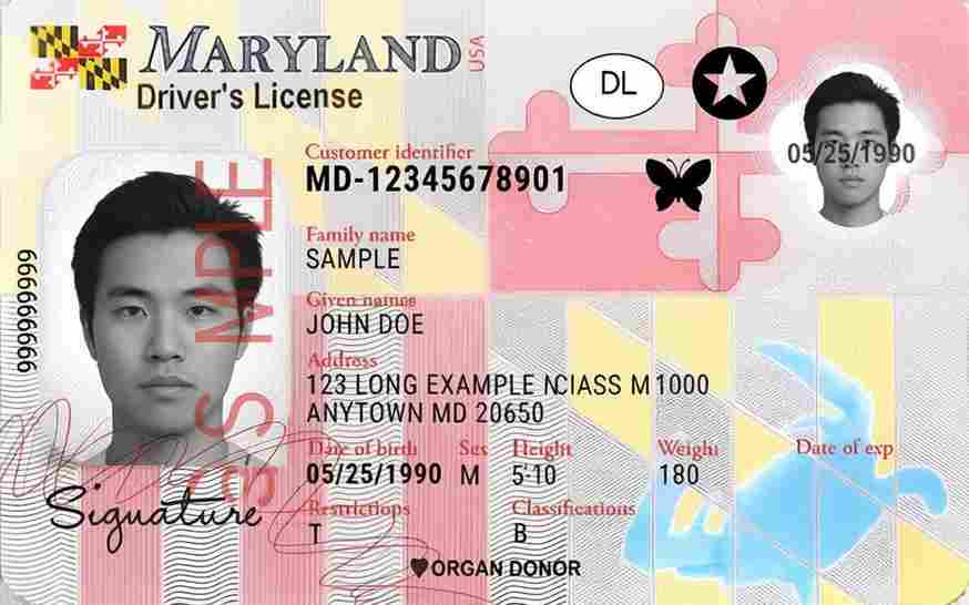 Sample Maryland motorcycle license card