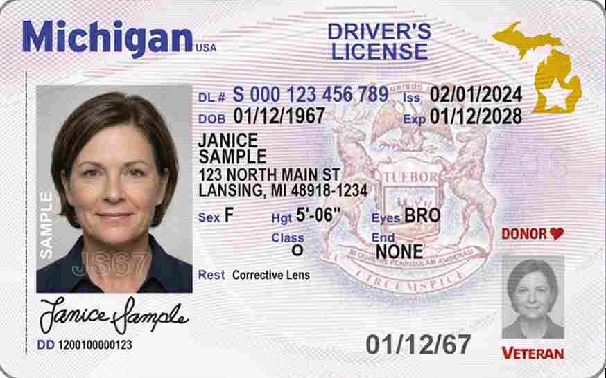 Sample Michigan driver license card
