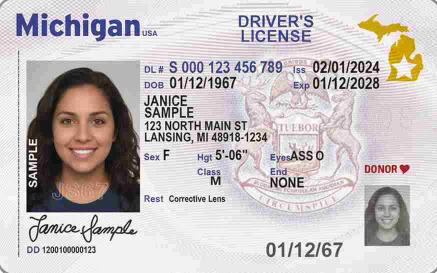 Sample Michigan motorcycle license card