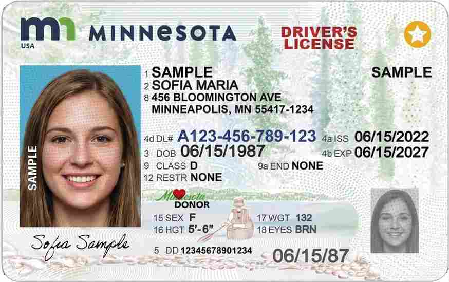 Sample Minnesota driver license card