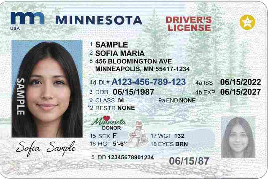 Sample Minnesota motorcycle license card