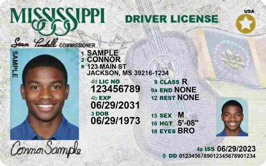 Sample Mississippi driver license card