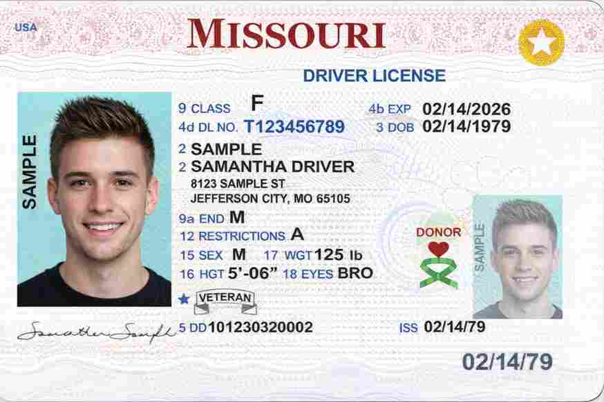 Sample Missouri driver license card