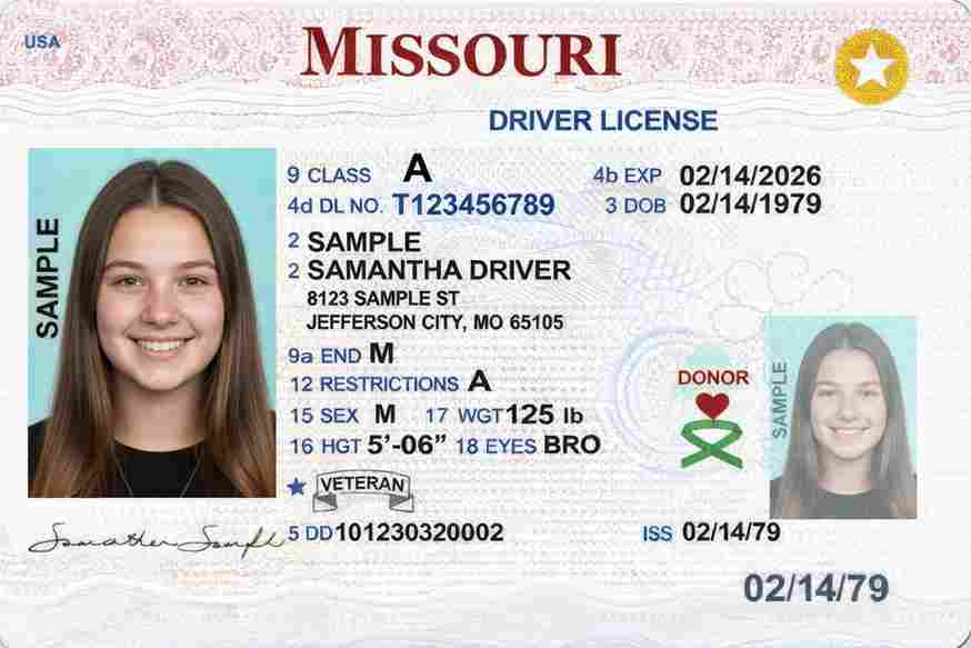 Sample Missouri CDL license card