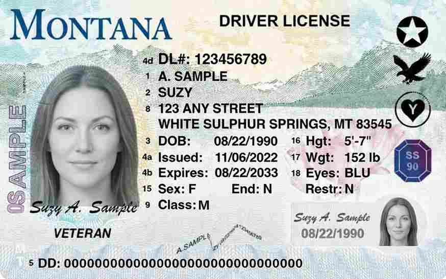 Sample Montana motorcycle license card