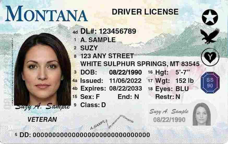 Sample Montana driver license card