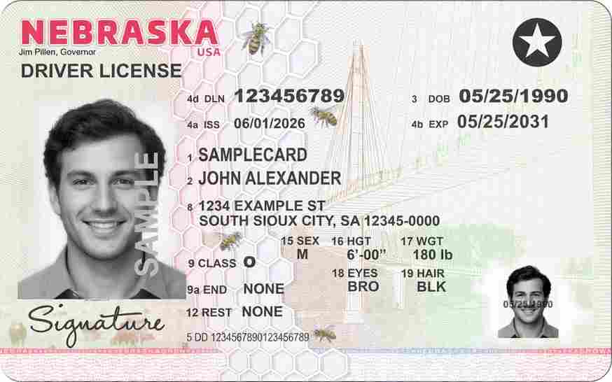 Sample Nebraska driver license card