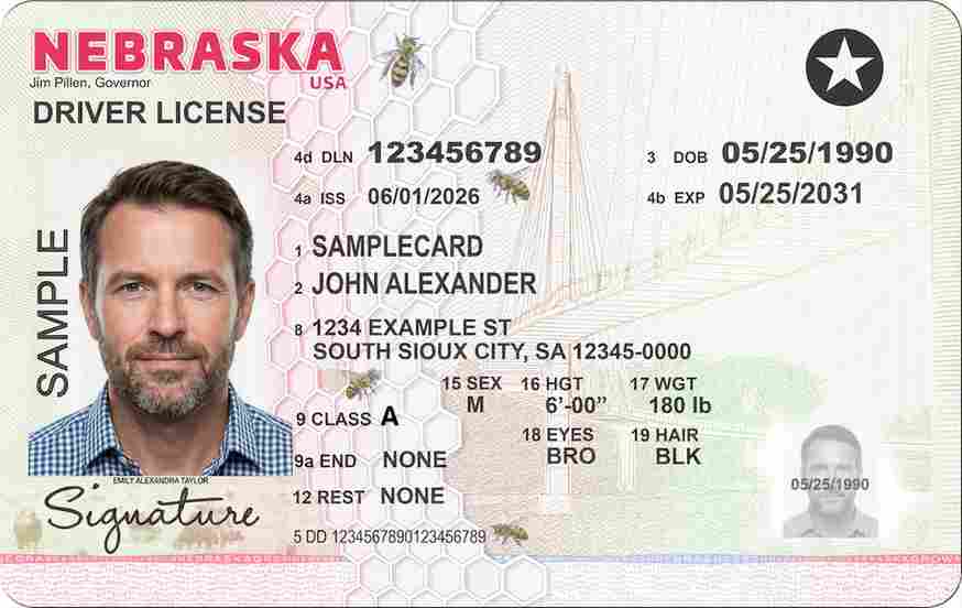 Sample Nebraska CDL license card