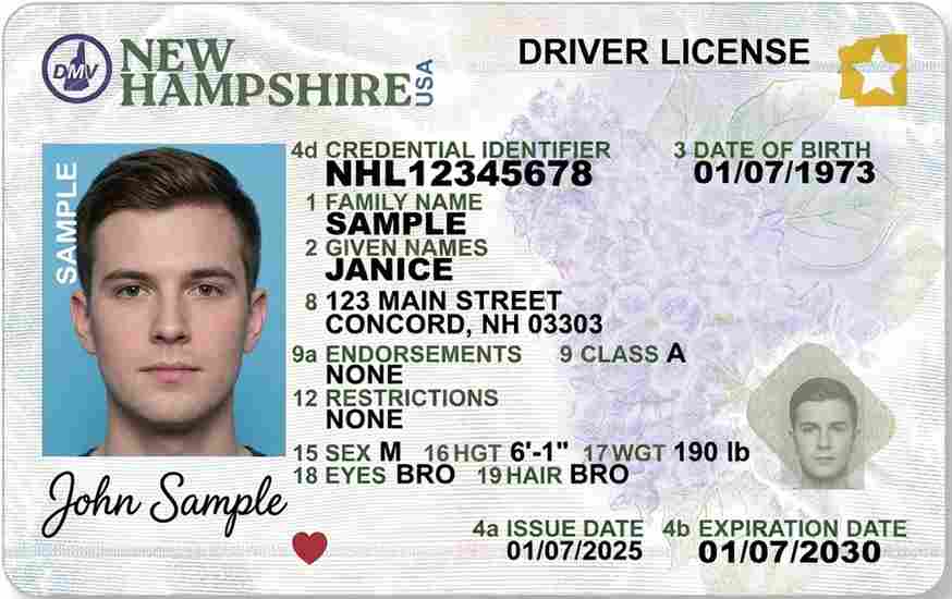 Sample New Hampshire CDL license card