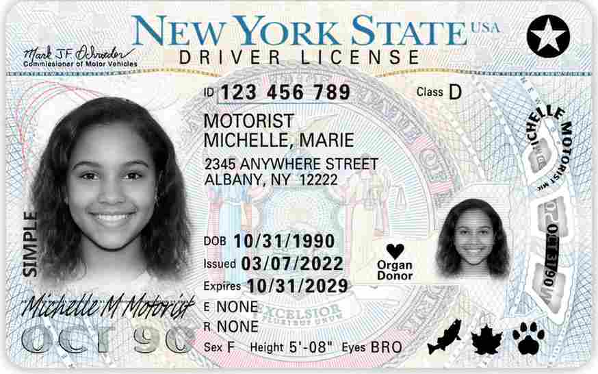 Sample New York driver license card
