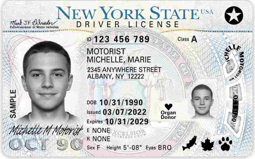 Sample New York CDL license card
