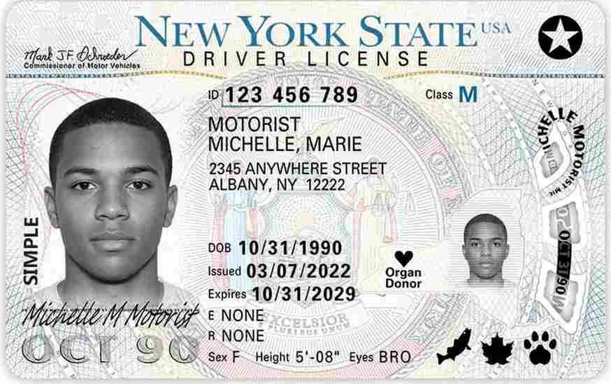 Sample New York motorcycle license card