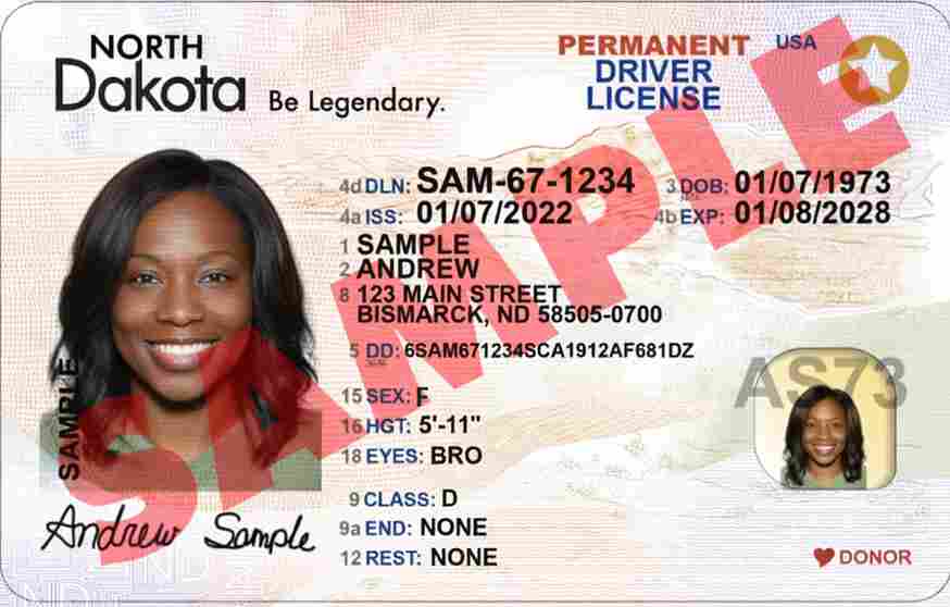 Sample North Dakota driver license card
