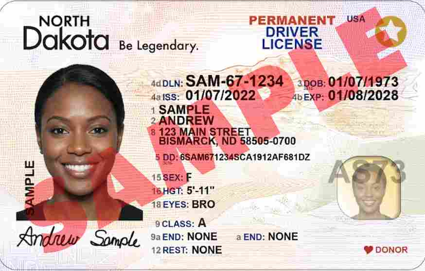 Sample North Dakota CDL license card