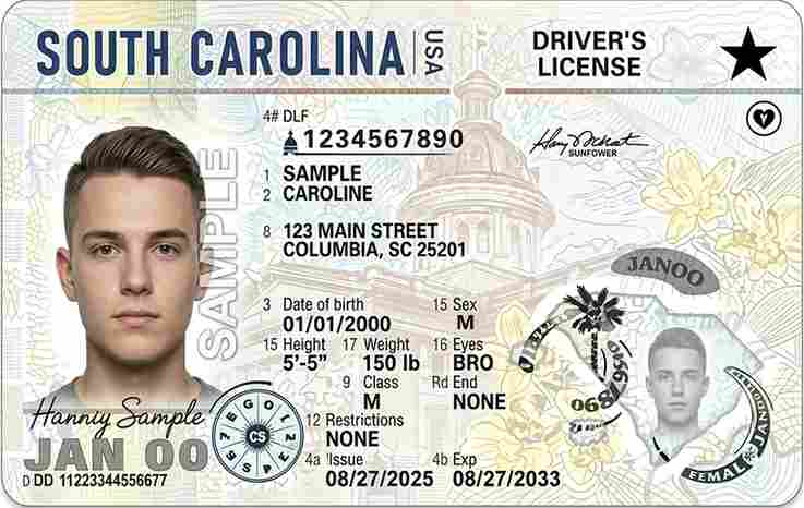 Sample South Carolina motorcycle license card