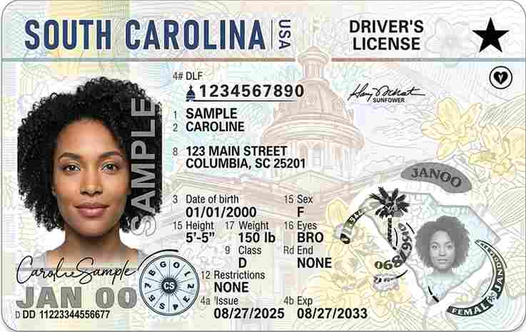 Sample South Carolina driver license card