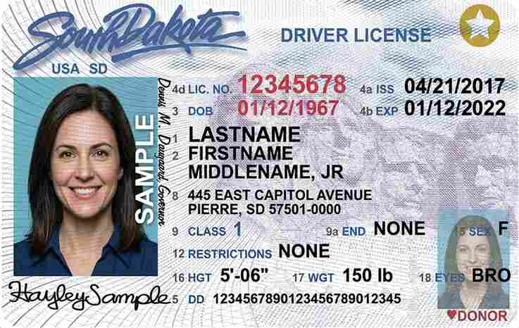 Sample South Dakota driver license card