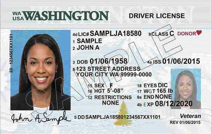Sample Washington driver license card