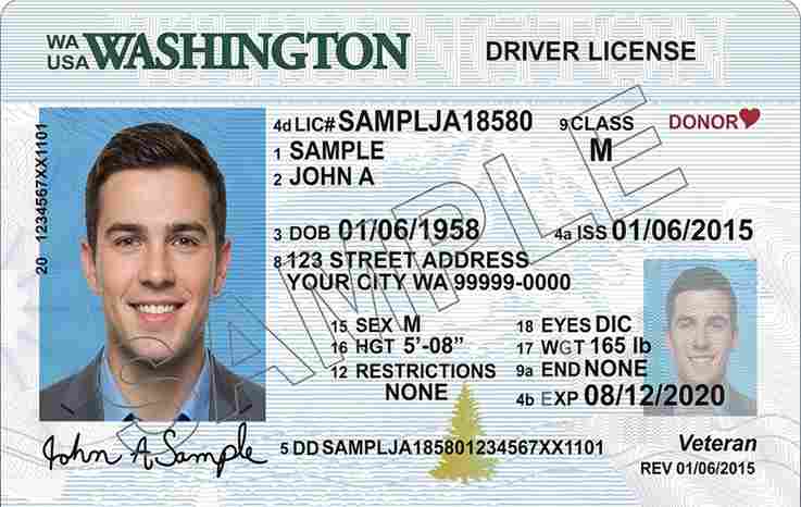 Sample Washington motorcycle license card