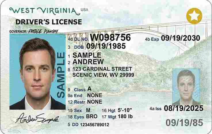 Sample West Virginia CDL license card