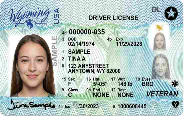 Sample Wyoming driver license card