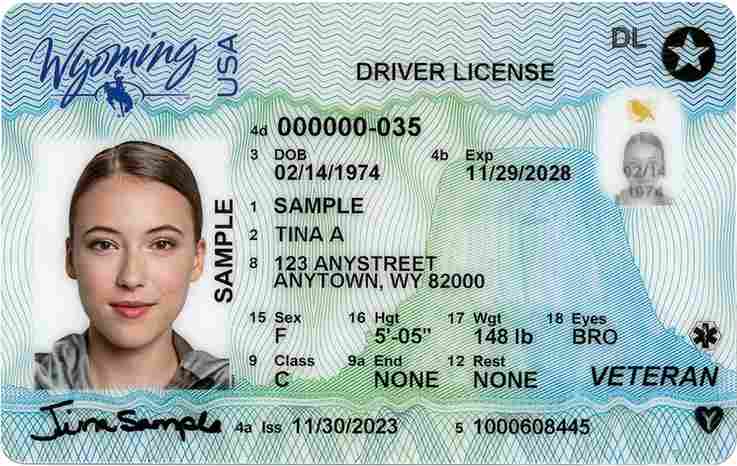 Sample Wyoming CDL license card
