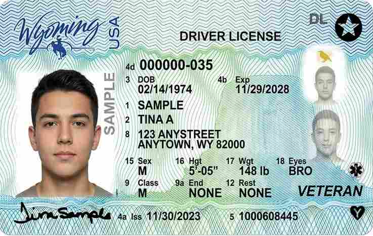 Sample Wyoming motorcycle license card